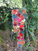 Autumn leaves hanging