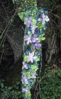 Clematis Hanging