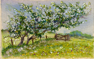 Footpath near Kirkwelpington