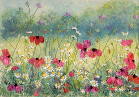 Meadow with Poppies 4