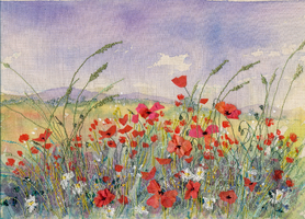 Meadow with Poppies 5