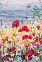 Meadow with Poppies Hebrides